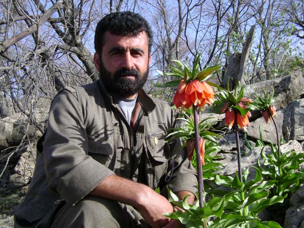 Şehit Şervan Sason