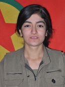 Jiyan Çekdar - Şehmîran Karahan