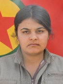 Arjîn Çinar - Hatice Dinç