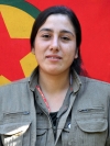 Vejîn Zeryan – Rojbin Çakmak