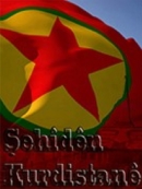 Cesur Botan – Serkan Karaduman