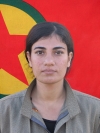 Filiz Dêrsîm – Celile Türk