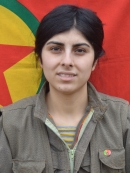 Seher İntikam – Bîşeng Kabak