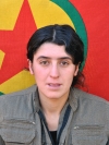 Amara Dıljin - Emine Aydemir