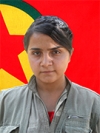 Rojava Ezdinan - Nahide Çiçek