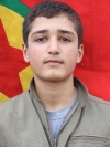 Mehmet Axin – Renas Benek