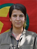 Beritan Sine - Nilüfer Xalidyan