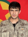Pale Kobanê - Ahmed İbrahim