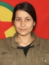Doğa Pirdoğan – Dara Qasim