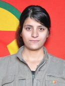 Zınarin Avzem - İpek Nişo