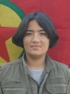 Sılava . Kobani - Mizgin Tayyar