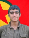 Azad Roni - Barış Kaya