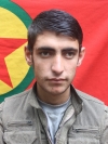 Xebat Canşer Kobane - Hemed Mustafa