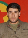Azad Güler - Mümtaz Okyay