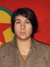 Amara Kobani - Nevin Hasan