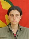 Zozan Cudi - Ayşe Baykal