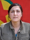 Deniz Pir -  Ayşe Turgut