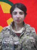 Adar Argeş - Vesile Arviş