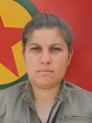 Eylem Ozan - Mizgin Ekin