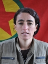 Hîra Ulaş - Deniz Orak