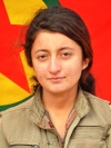 Nûjiyan Sîncar – Xalîde Reşo