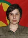Asmîn Ardil Dijwar – Sultan Nili