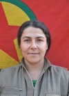 Ronya Kars - Gülay Sapanlı