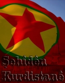 Akif Mahabat - Şahin &Ouml;nen