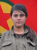 Arvîn Tolhildan - Pervîn Muhammed