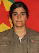 Dîdar Tolhildan - Leyman Hesen