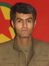 Şaho Çalak - Abdurrahman Fahrî