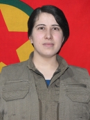 Binevş Vejîn - Yonca Gökalp