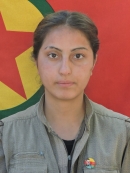 Ekin Tolhildan - Cansel Gül