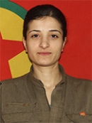 Berxwedan Amara - Leyla İldeniz