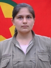 Armanc Azadî – Şehrîban Altürk