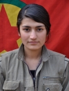 Têkoşîn Cûdî - Yildiz Yilmaz