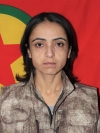 Gulbahar Mercan - Şekirnaz Kaplan