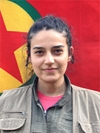 Roza Zin Zınar - Cansu Aksoy