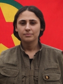 Zîn Doğa - Nur Hisên Silêman