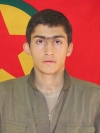 Simko Arbaba – Sîna Şeciyî