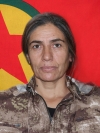 Tekoşîn Cizre - Ayşe Arslan