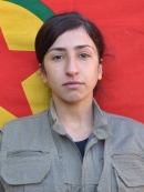Rojda Arjîn – Mehnaz Bazarxak