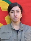 Rojda Arjîn – Mehnaz Bazarxak