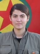 Devrim Hêjar - Gulistan Aydemir