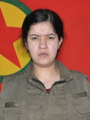 Arjîn Cûdî - Zeynep Dal