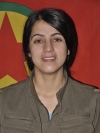 Avesta Şiyar Şemzinan - Leyla Eren