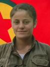 Nalîn Evîn – Evîn Yüce
