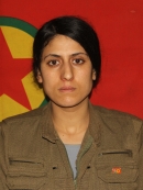 Nalin Fırat - Maşallah Kaynak