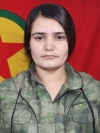 Lorîn Gever – Seher Kömür