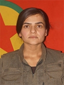 Rojbîn Agirî Serhed - Sara Sağlam